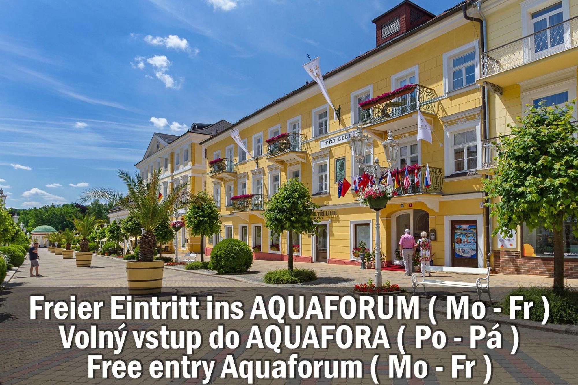 Hotel Three Lilies Inkl Aquaforum Frantiskovy Lazne Luaran gambar